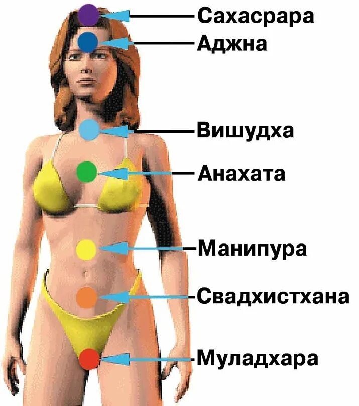 Точный человек как называется. Чакры человека расположение. манипура чакра расположение. манипура чакра на теле. расположение чакр на теле человека фото.