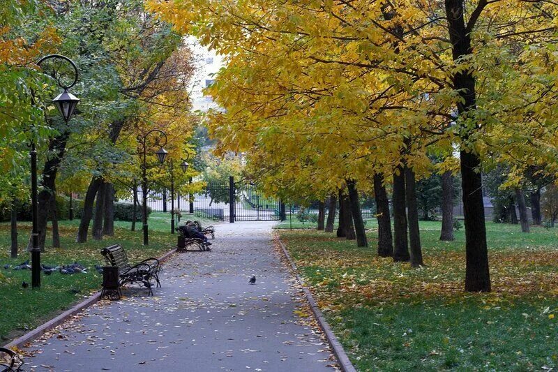 Осенний парк. Фотосессия осенью. Ооосень. Осенняя съемка. Осенью 2010 года.