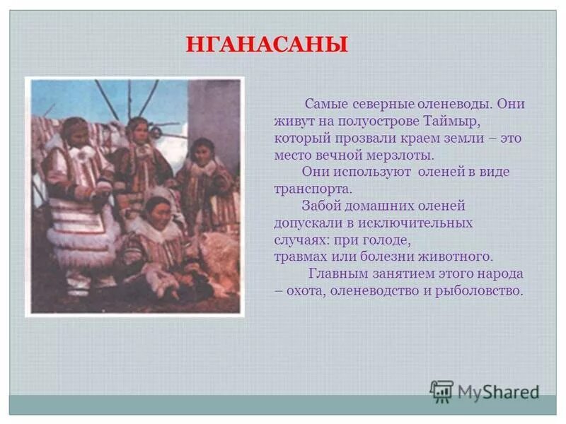 Долганы место проживания. Нганасаны презентация. Народ нганасаны презентация. Нганасаны народ информация. Традиции народы севера нганасаны.