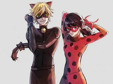 Lady bag and the cat noir