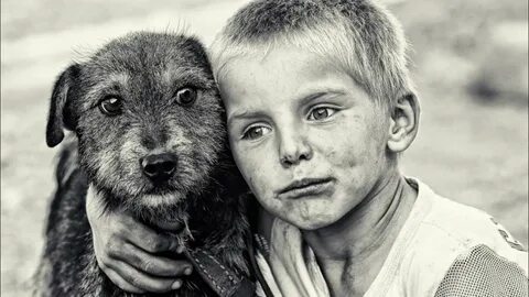 Самые верные друг другу животные