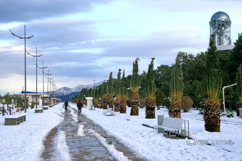Грузия батуми зима. Зима в батуми. Погода в батуми в ноябре 2024. Погода в батуми в ноябре 2024. Зима в батуми.