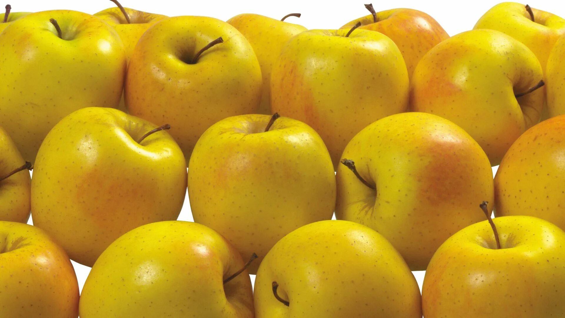Many apples