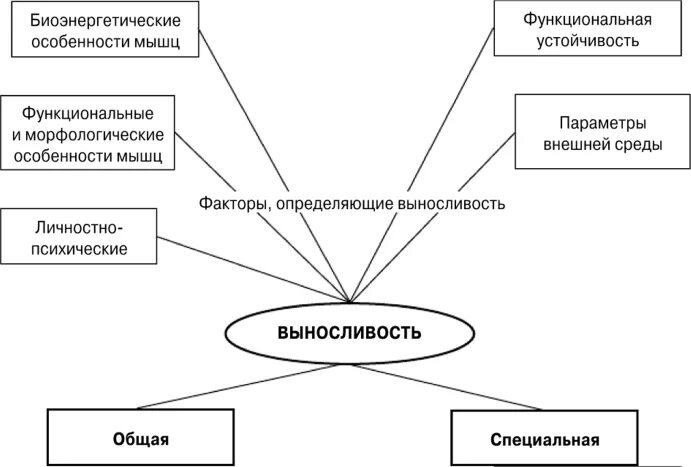 Классификация специальной выносливости. Специальная выносливость структура. Средства развития выносливости схема. Общая и специальная выносливость схема.