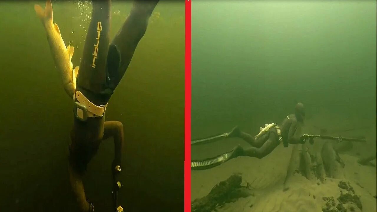 Подводная охота на озере. Подводная рыбалка в озерах. Подводная охота. Подводная охота разрешение. Гарпун подводный.
