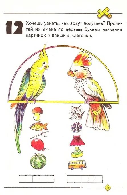 Задача про попугая 5 класс. Задания про попугаев. задание про попугайчиков. задача про попугаев. задания с попугаем.