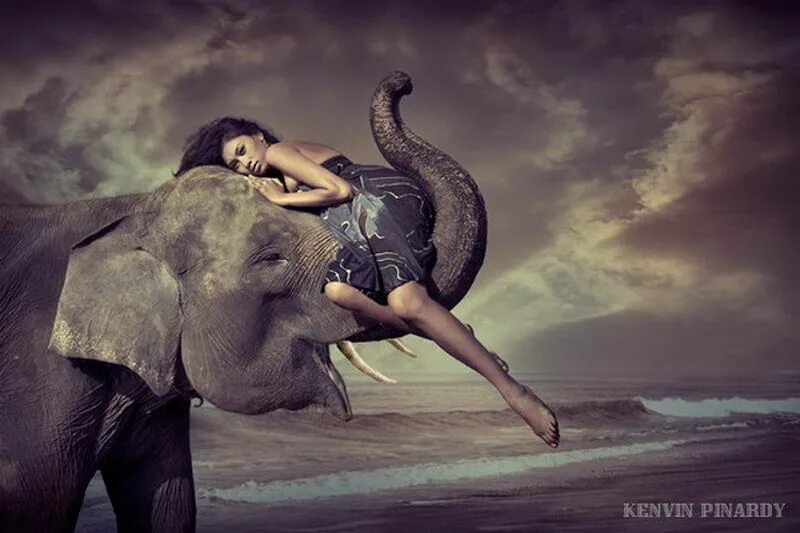 Elephant woman. Фотосессия со слонами. Elephant woman. Слоник у женщины. Девочка и слон.