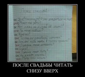 Читаем приколы