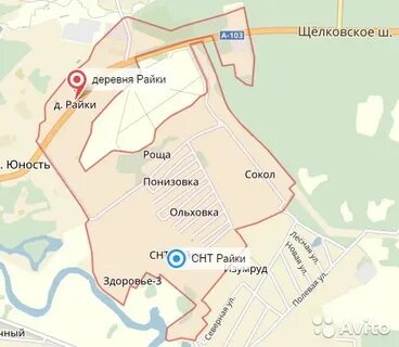 Погода райки щелковский