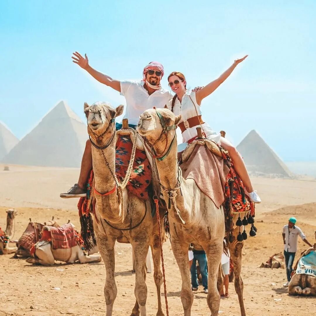 Каир вылеты. Шарм Эль Шейх верблюд. Шарм-Эль-Шейх бедуины. Бедуины в Египте Хургада.