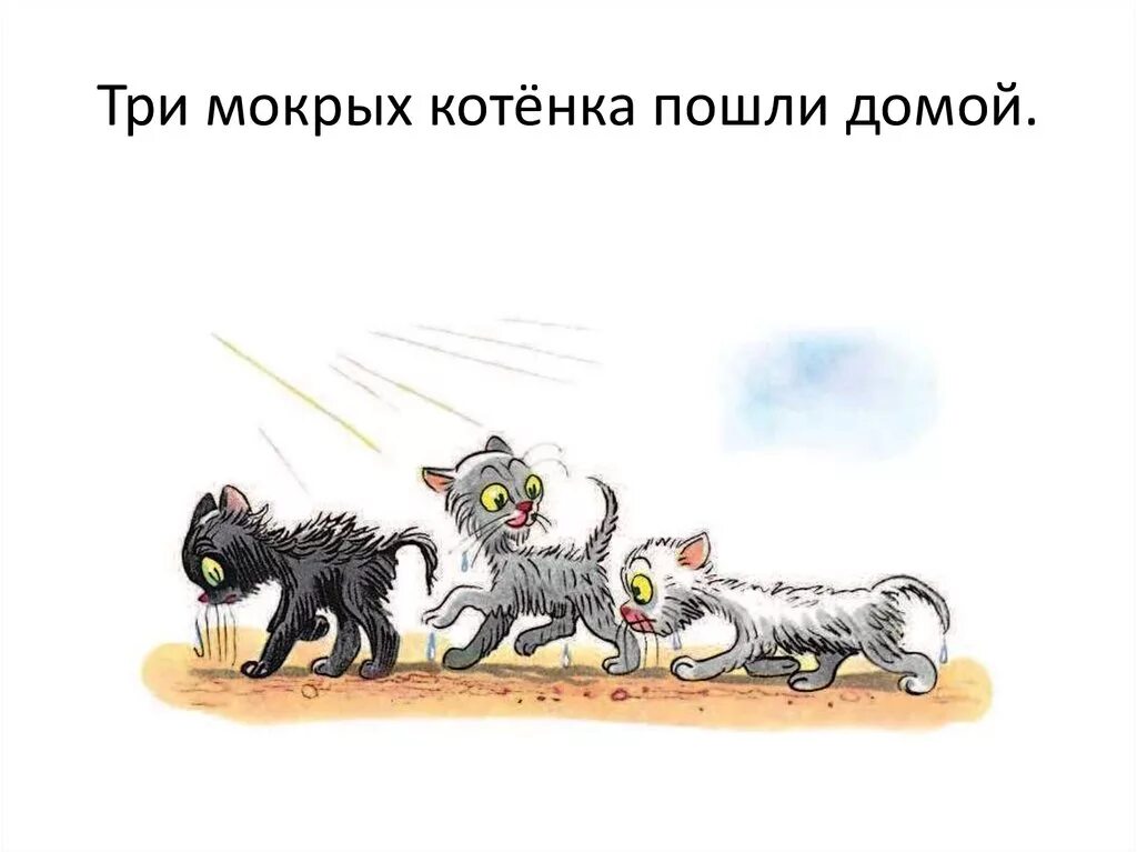 Три котенка слова. Сутеев 3 котенка. Сутеев в. "три котенка". Рассказ три котенка Сутеев текст. Сутеев иллюстрации три котенка.