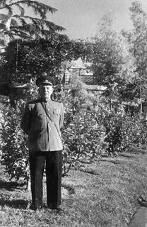 Секретный сталин