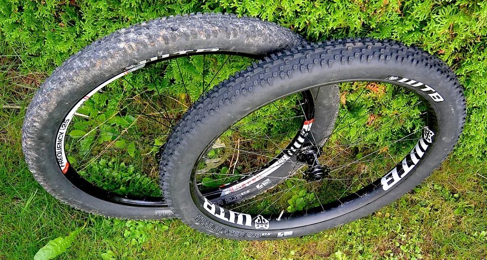 Покрышки WTB 27.5. WTB Trail Blazer. WTB 27.5 2.8 покрышки. Покрышка specialized 27,5*2,20. 29 x 10 x 3 3