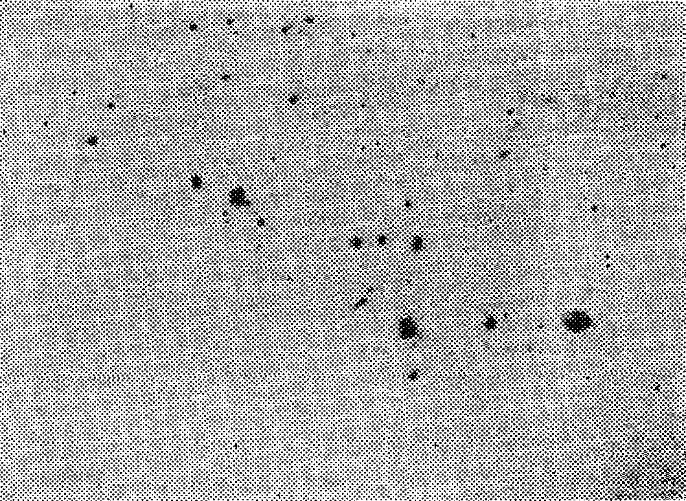 Растрескивание краски. Старение лакокрасочных покрытий. Шевроле круз ржавеет. Старение лакокрасочных покрытий. Старение лакокрасочных покрытий.