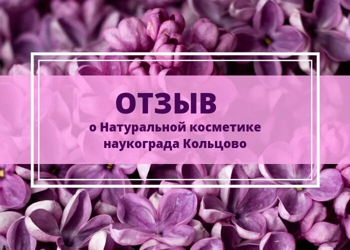 Жк цивилизация новосибирск планировки. Отзывы в новосибирске. Новосибирск отзывы переехавших на пмж. Город новосибирск отзывы переехавших. Отзывы в новосибирске.