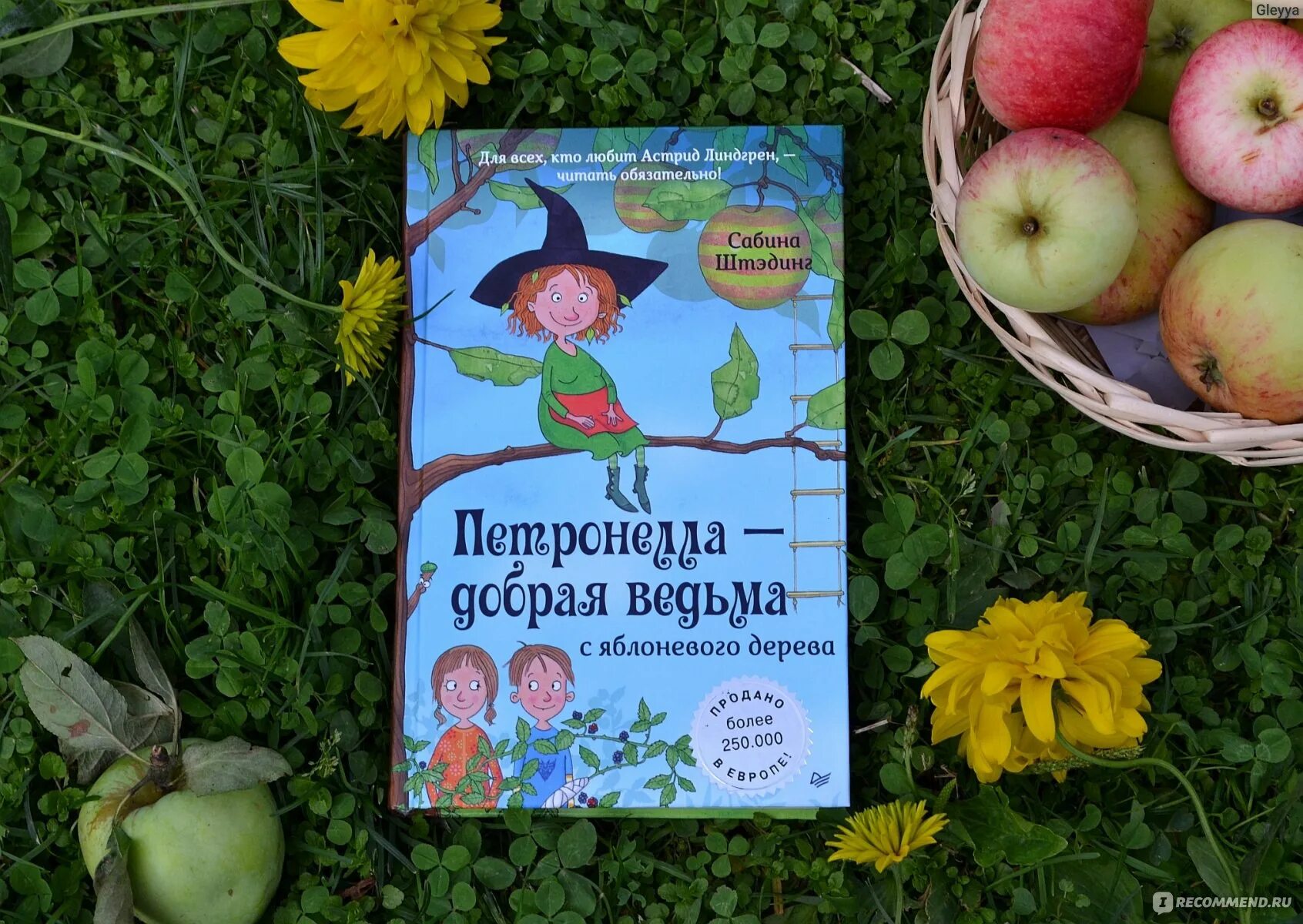 "петронелла - добрая ведьма с яблоневого дерева". Петронелла – добрая ведьма с яблоневого дерева сабина штэдинг книга. Петронелла яблоневая ведьма. Петронелла добрая ведьма с яблоневого дерева. Петронелла яблоневая ведьма.