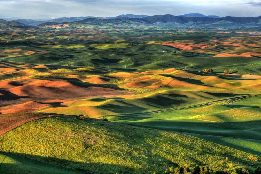 Холм в сша. Холмы Palouse, США. Холмы Палуз штат Вашингтон Америка. Холмы Наллихана. Штат Айдахо природа.