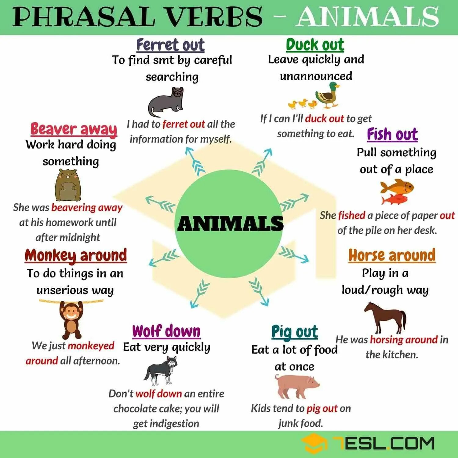 Phrasal verbs. Animals verbs. Phrasal verbs надпись. Ачык собак Phrasal verbs. Check out phrasal verb