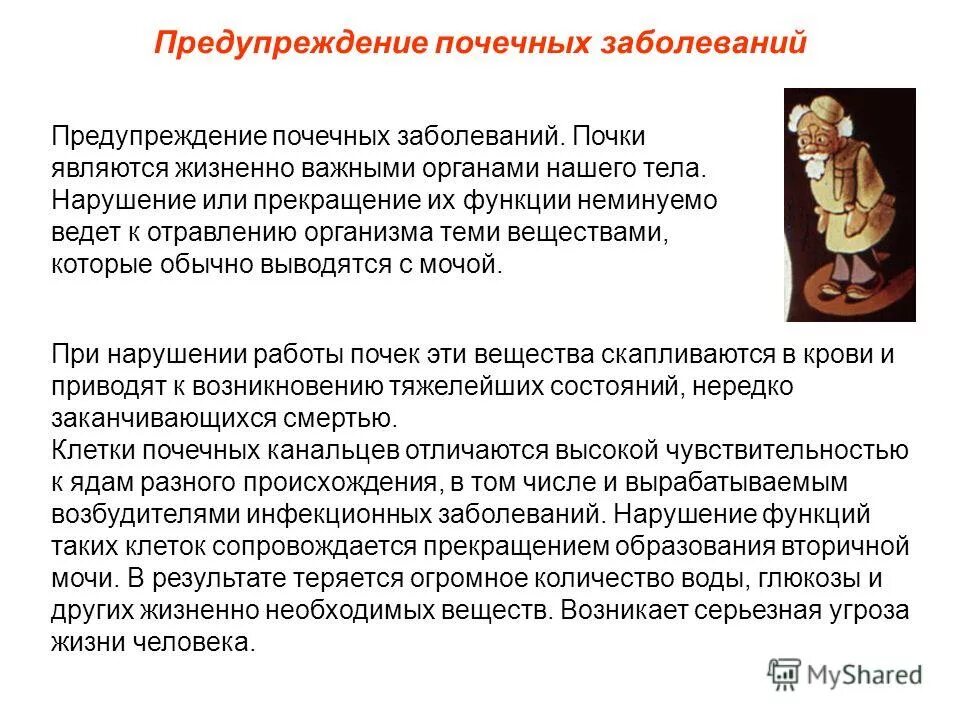 Профилактика заболевания почек кратко. Предупреждение почечных заболеваний. Профилактика заболеваний почек. Доклад о профилактике почечных заболеваний. Профилактика заболеваний мочевыделительной системы.