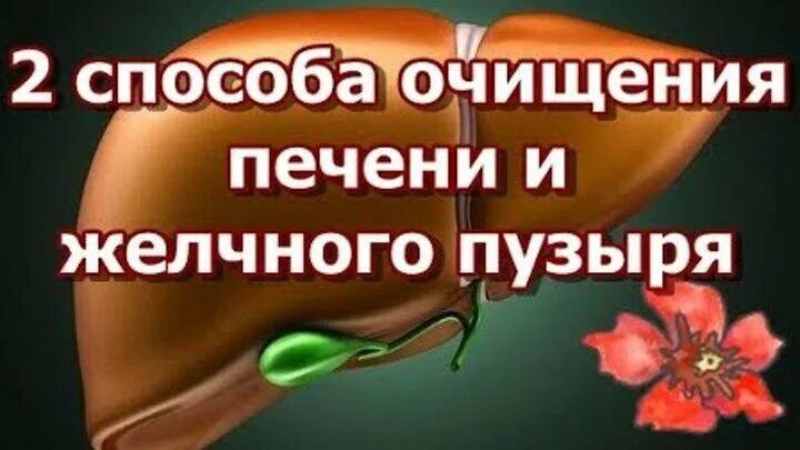 Очистка печени и желчевыводящих. Очищение печени и желчного пузыря. Почистить печень и желчный. Способ очищения печени и желчи. 6 Способов очистки желчного пузыря.