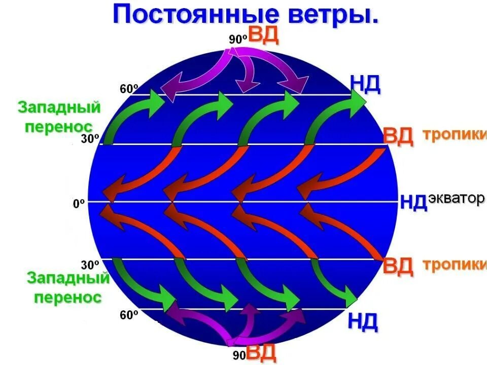 Схема пассатов ветров. Схема образования ветров пассатов. Схема формирование пассатов. Постоянные ветры схема. Сильные ветры в течение всего года