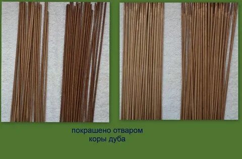 Цвет лозы