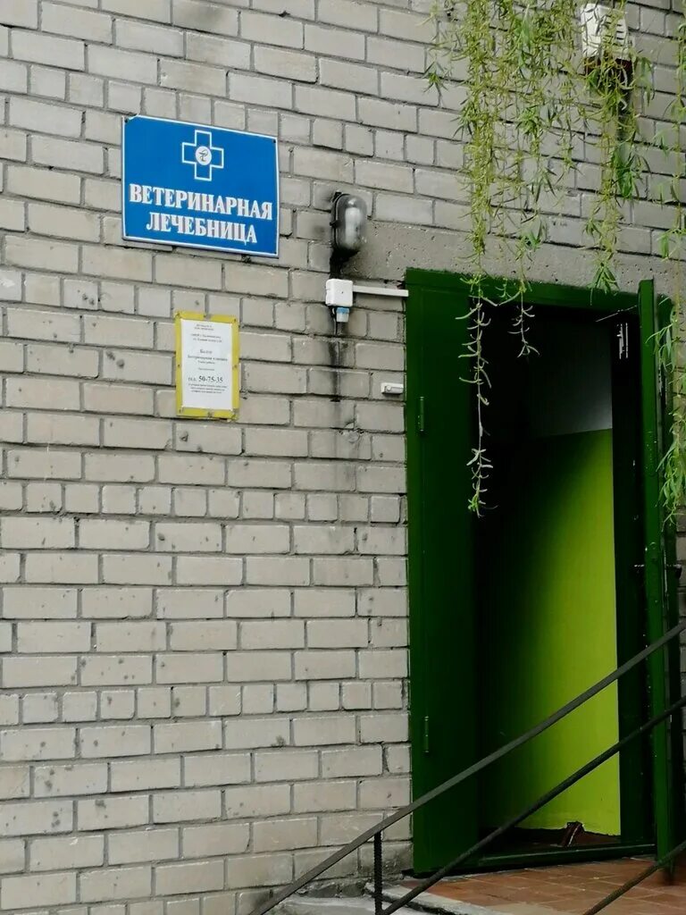 Ветеринарная калининград. Ветклиника балто калининград. ветеринарная клиника в калининграде. ветеринарка калининград. калининград ул еловая аллея 26.