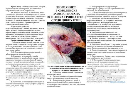 Болезнь птичий грипп