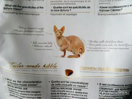 Котятам сфинкса месяц чем кормить