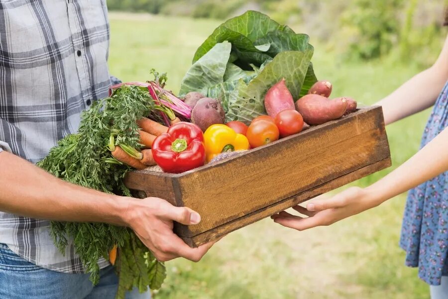 Хозяйства и реализации продукции