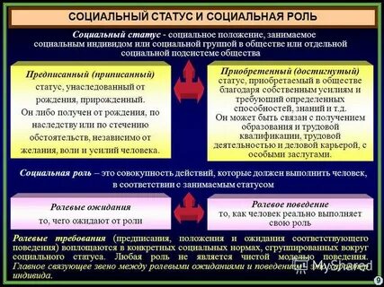 Понятие общество социальный статус и роль