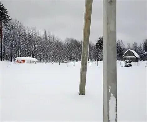 Погода в поляны 14