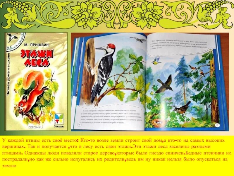 Пришвин рассказ река. Книга Пришвина этажи леса. Рассказ Михаила Пришвина этажи леса. Произведение Пришвина этажи леса.
