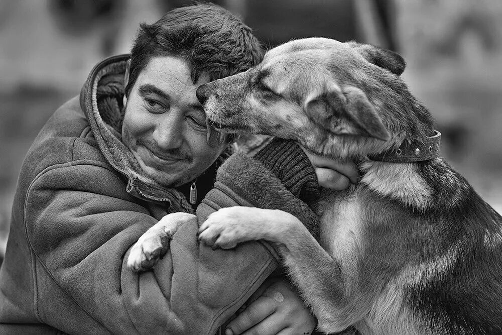 Собака 40 лет. Собака друг человека. Человек с собакой. Собака - лучший друг. Дружба собаки и человека.