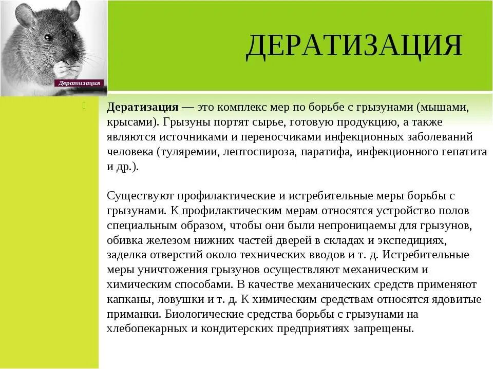 Контроль дератизации