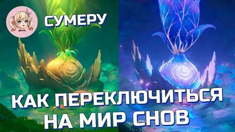 Дерево снов геншин