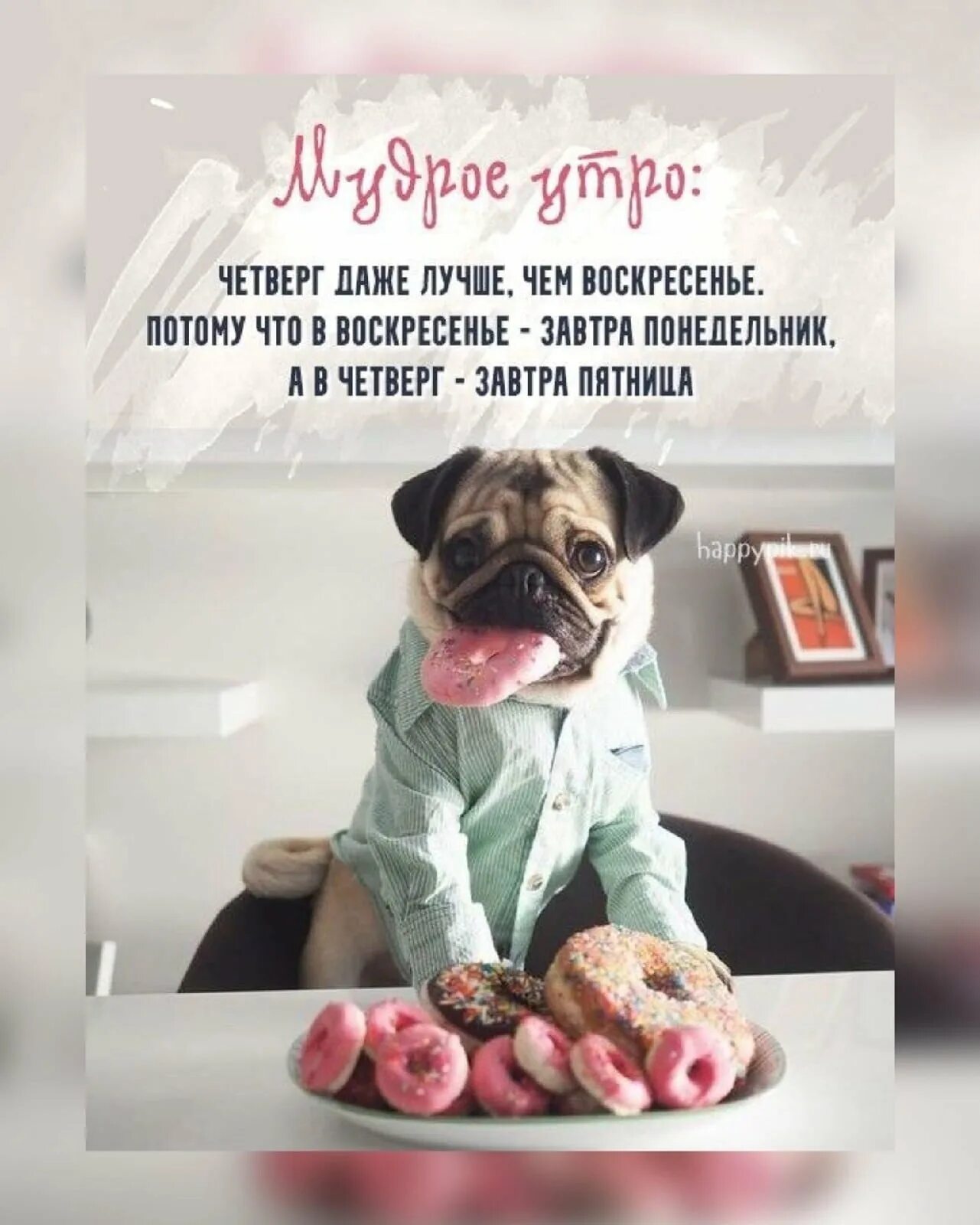 Четверг утро работа. Доброе утро четверга. с добрым утром четверга прикольные смешные. четверг приколы. веселого четверга.