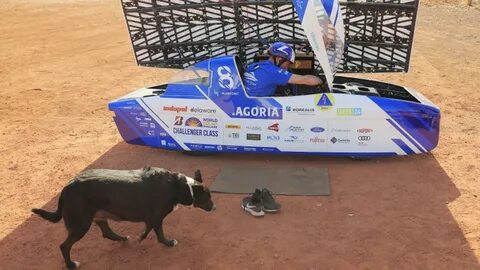 Гонки bridgestone world solar challenge