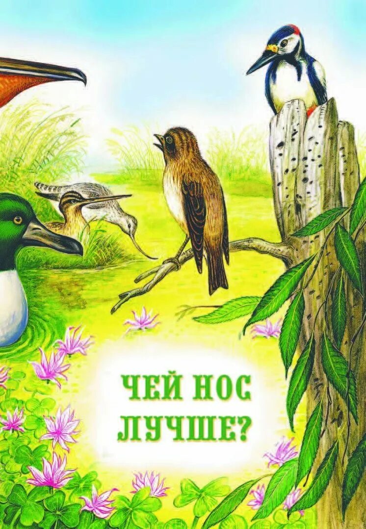 Синичкин календарь бианки май. Птицы в рассказах бианки. Бианки в. Лесные домишки бианки рисунок. Книга бианки наши птицы.