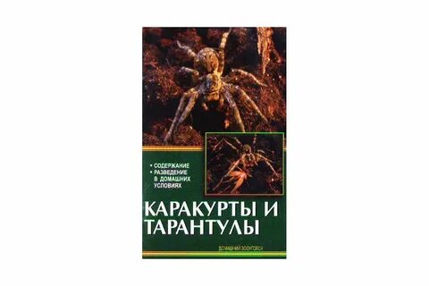 Тарантул книга