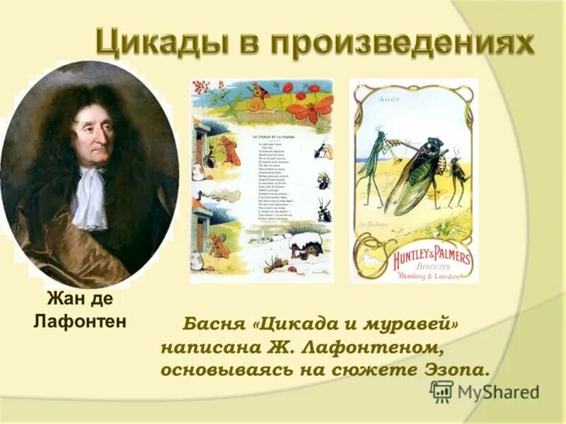 Лафонтен и муравей. Лафонтен цикада и муравей. басни лафонтена. басня лафонтена и муравей. цикада и муравей лафонтен басня читать.