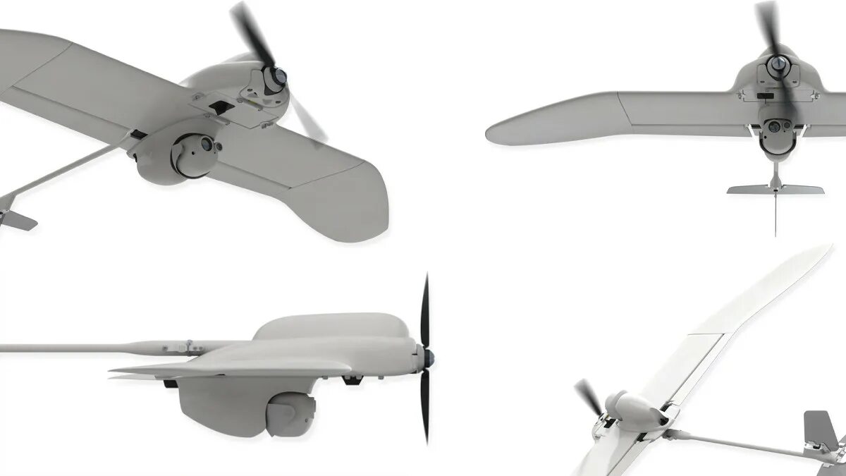 Бобры беспилотник. БПЛА RQ 12a Wasp AE. Wasp БПЛА. БПЛА Wasp III. RQ-12 Wasp III.