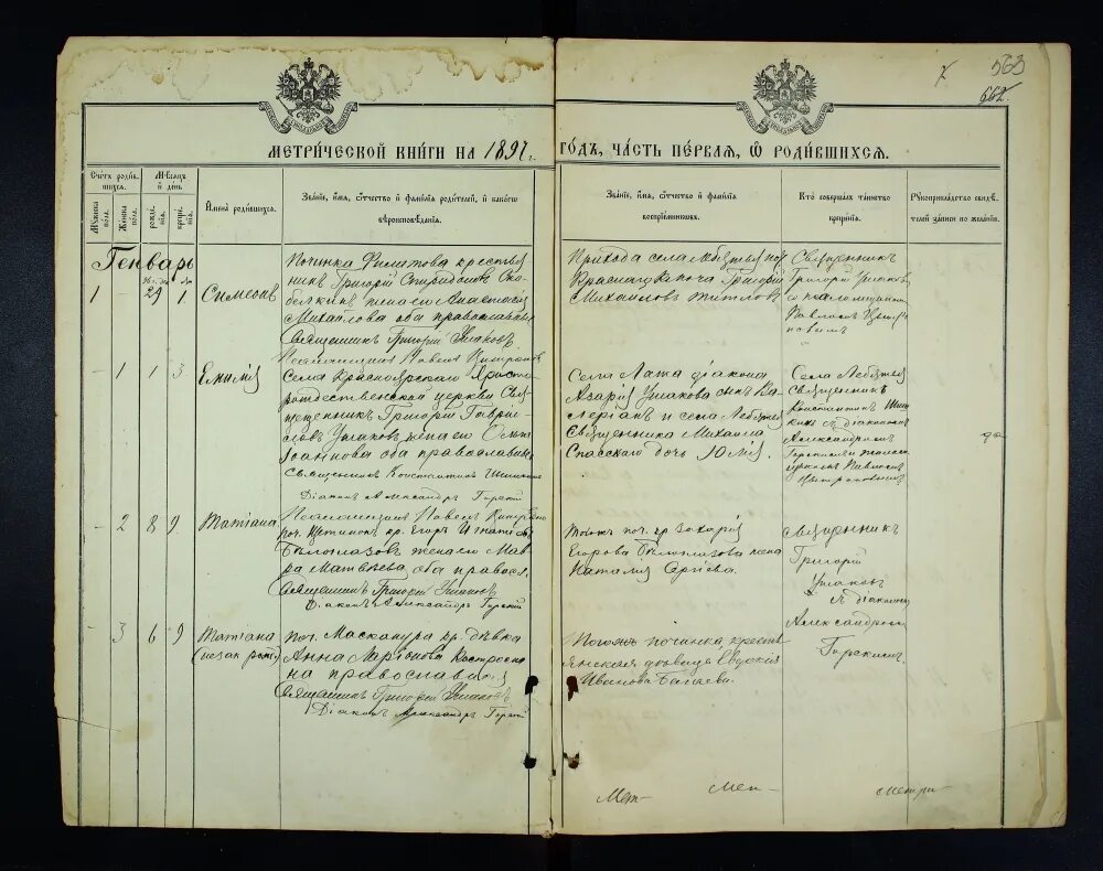 церковные метрические книги нижегородской губернии. метрическая книга прихода. метрическая книга. метрические книги владимирской губернии александровский уезд. метрическая книга.
