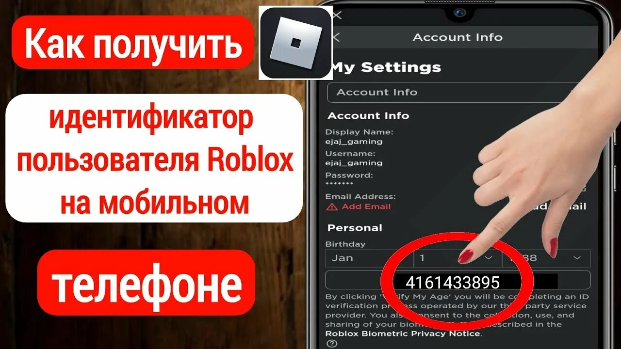 Получить id пользователя. Получить id пользователя