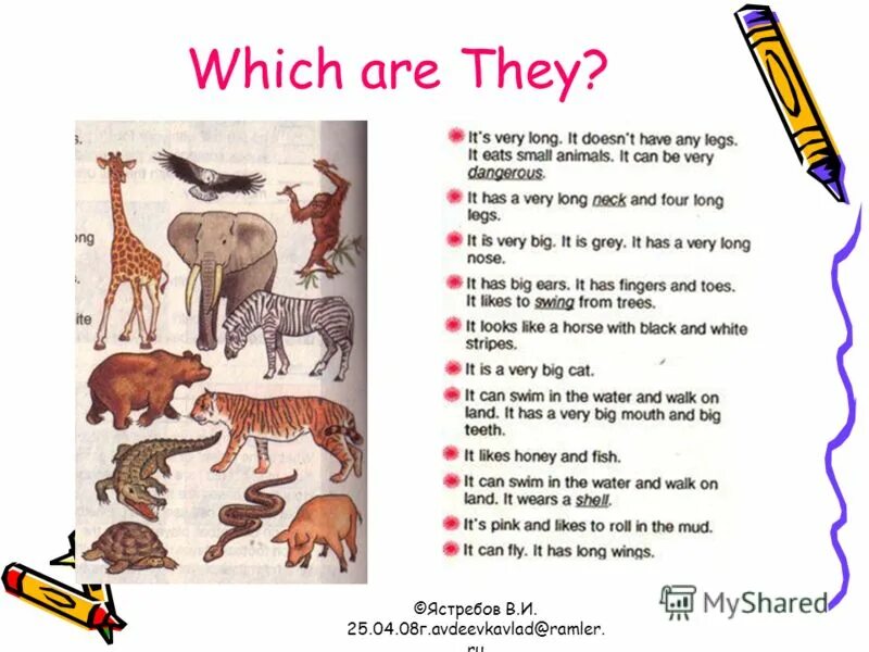 Спотлайт 3 класс животные. Cows have got или has got long tails. Стихотворение animals small. And it has a long. Kangaroos have got short tails.