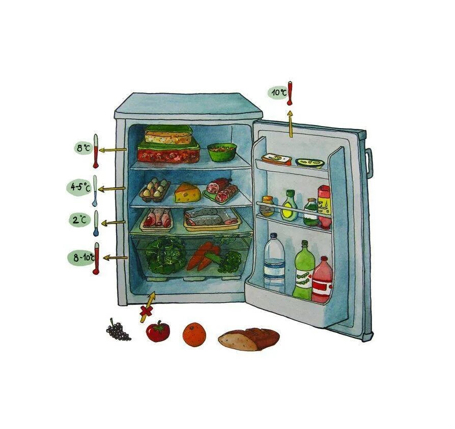 Сколько можно держать открытым холодильник. Холодильник с продуктами. Хранение продуктов. Правильное хранение продуктов. Хранение в холодильнике.