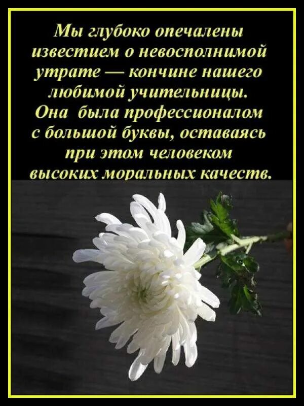 Кончина матери. Слова скорби. Слова соболезнования. Слова соболезнования о смерти. Соболезнование коллеге.