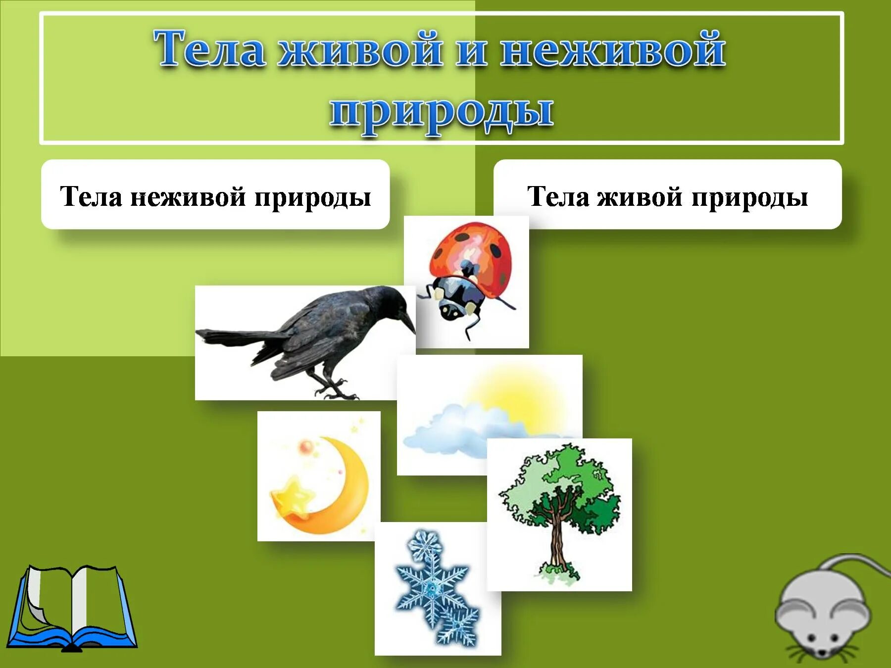 Живая природа презентация. Живая и неживая природа. Природные тела живые и неживые. Живые и неживые тела окружающий мир