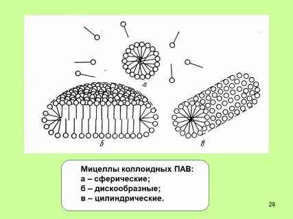 Пав б