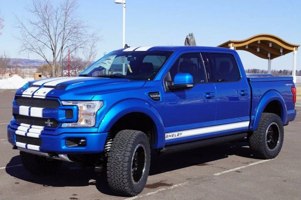 Купить форд 14. Ford f150 Shelby. Ford f-150 Shelby 2020. Форд f150 Шелби. Форд ф 150 Shelby.